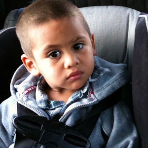 Meet your Posher, Ant